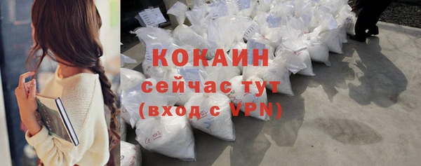 бошки Пересвет