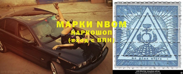 бошки Пересвет