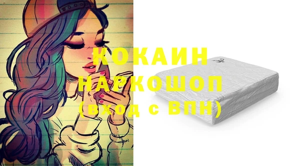 бошки Пересвет