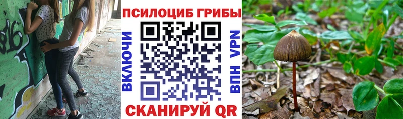 Галлюциногенные грибы прущие грибы  купить   Струнино 